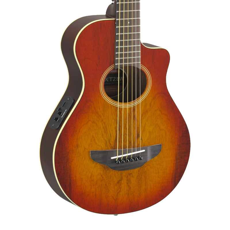 Yamaha G54-APXT2EWLAB 3/4-size Thin-line Cutaway - Light Amber Burst - ACOUSTIC ELECTRIC GUITARS - YAMAHA TOMS The Only Music Shop