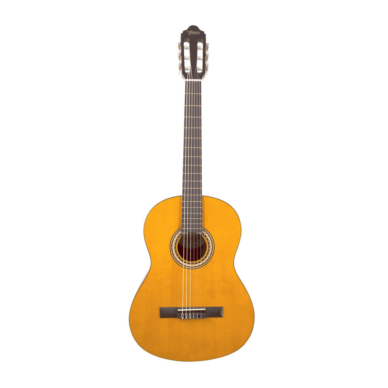 Valencia TE-VC104CVT Classical Guitar